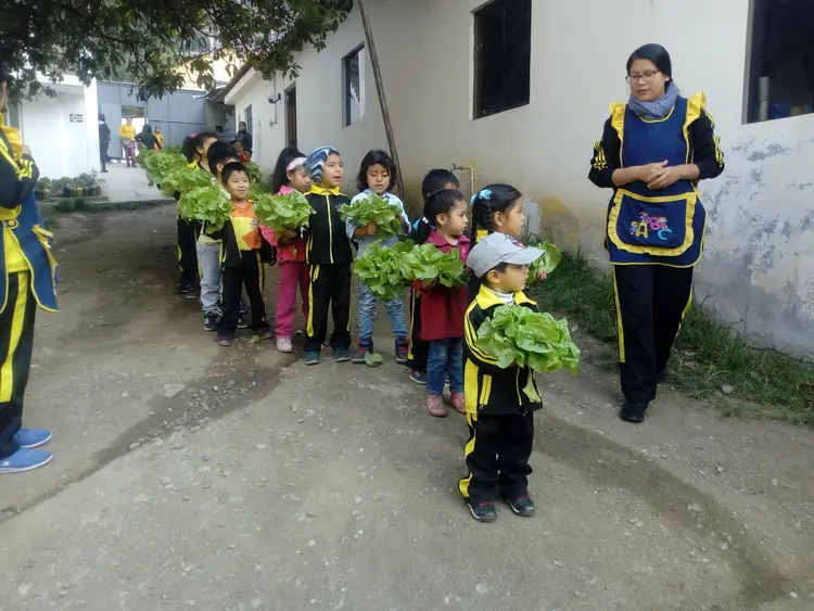 Aprendemos a cultivar nuestros alimentos